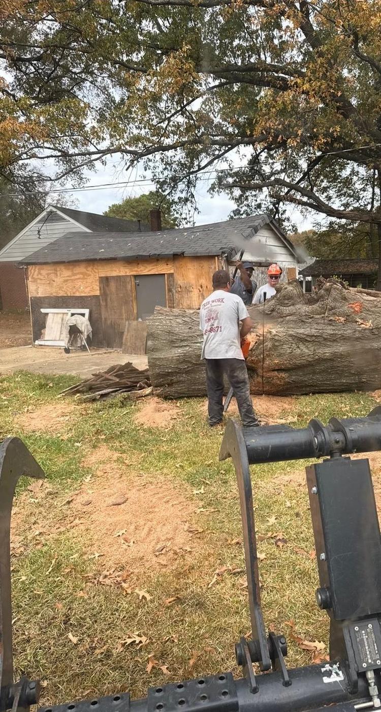 Bucking a fallen hardwood down to haul weight — Aaron&rsquo;s Tree Service, Mid-South