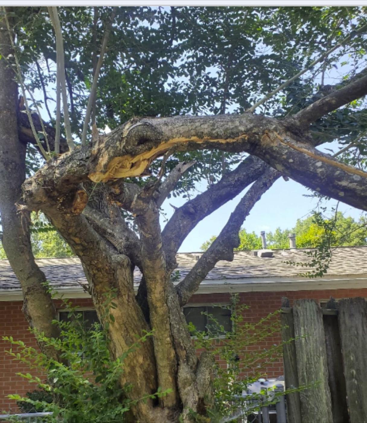 Storm-broken limb hung over a roof line — Aaron&rsquo;s Tree Service, Mid-South