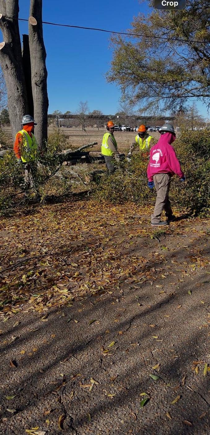 Right-of-way clearing alongside a county crew — Aaron&rsquo;s Tree Service, Mid-South