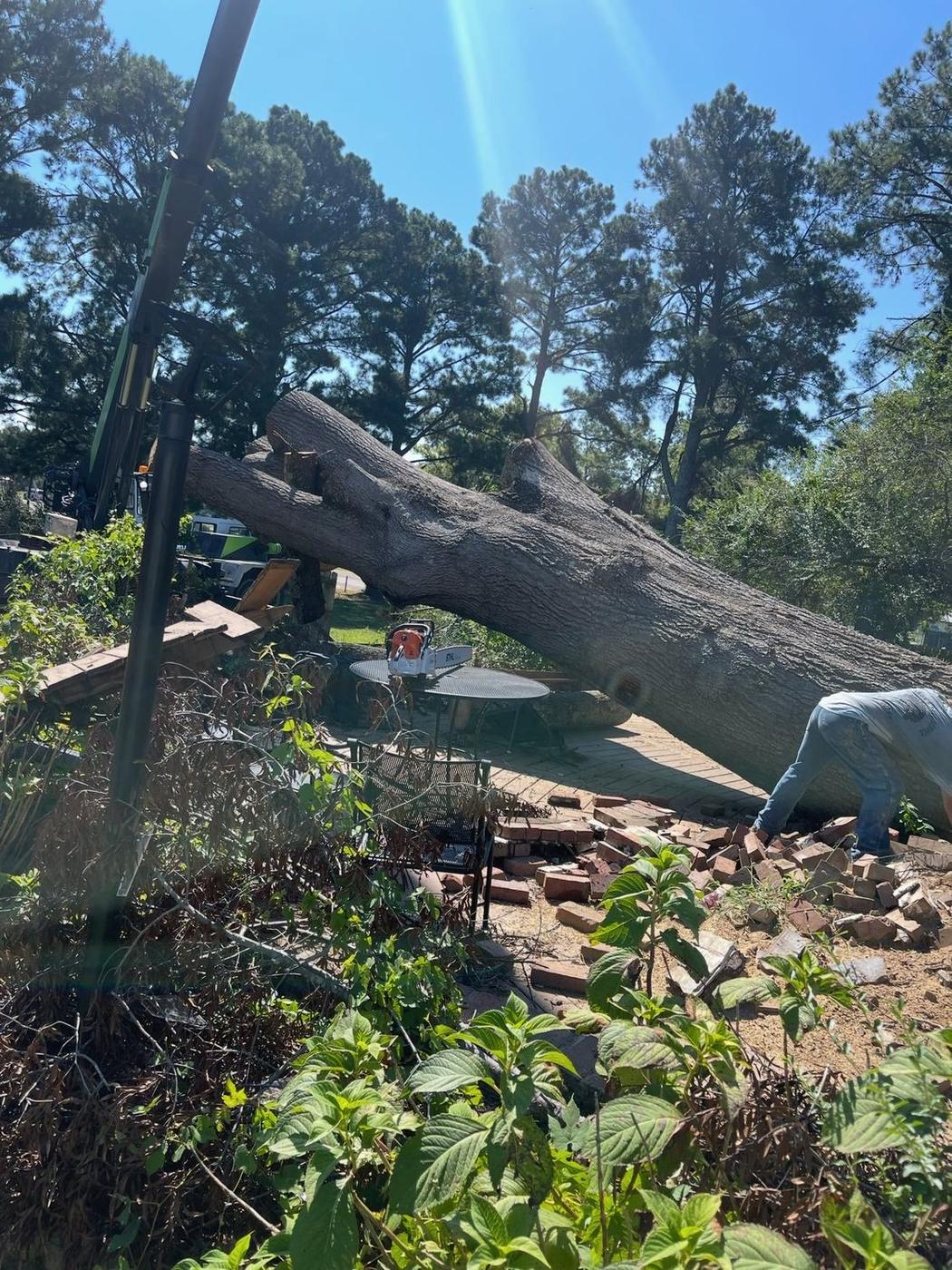 Working the base of a massive uprooted trunk — Aaron&rsquo;s Tree Service, Mid-South
