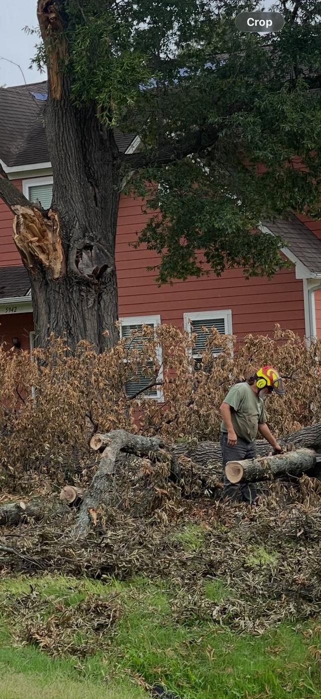 Cutting rounds beside the truck — Aaron&rsquo;s Tree Service, Mid-South