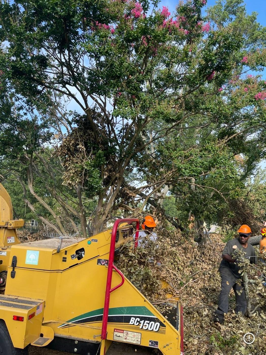 Chipper running at the curb — Aaron&rsquo;s Tree Service, Mid-South