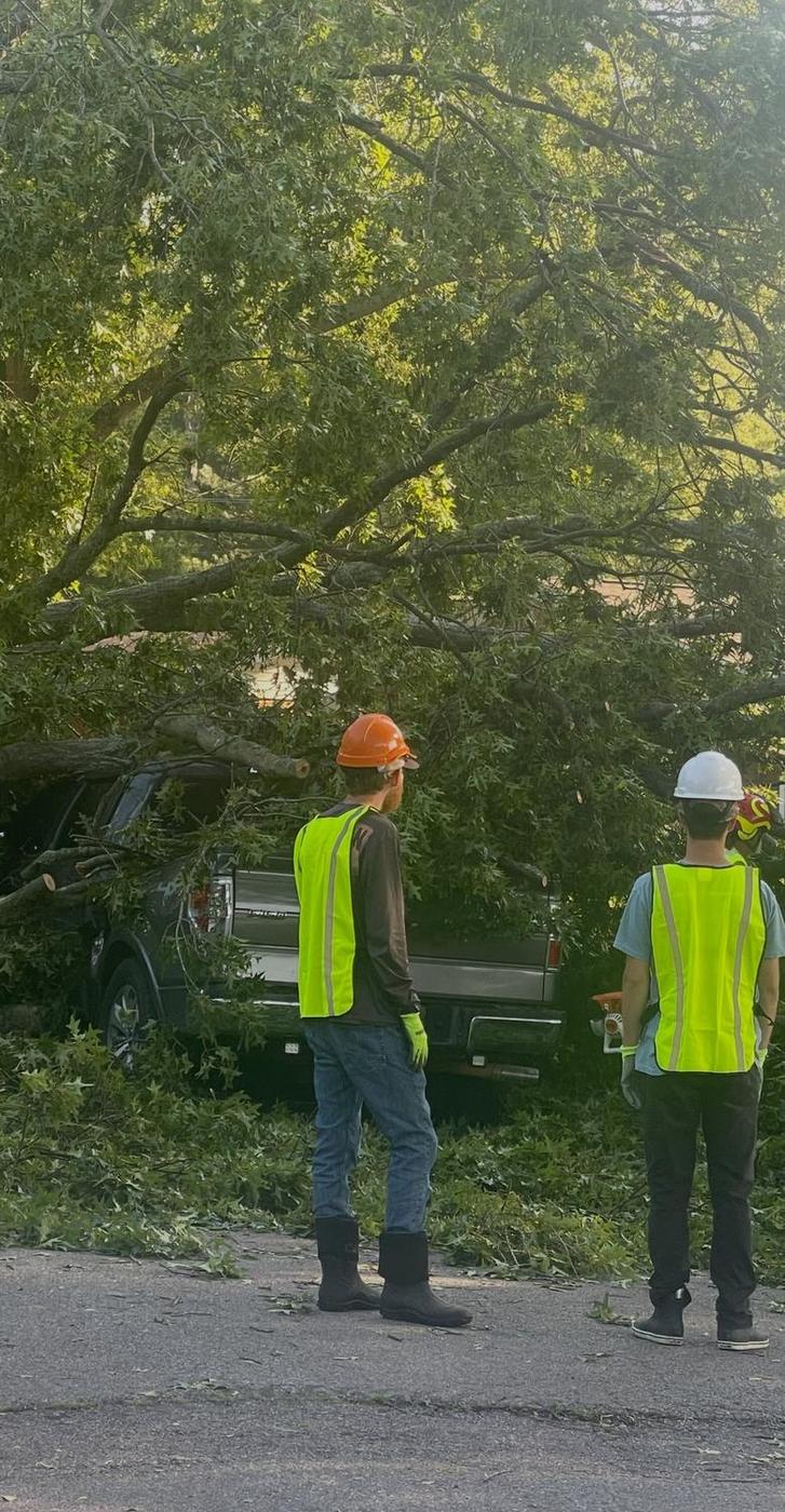 Ground check before the next pick — Aaron&rsquo;s Tree Service, Mid-South