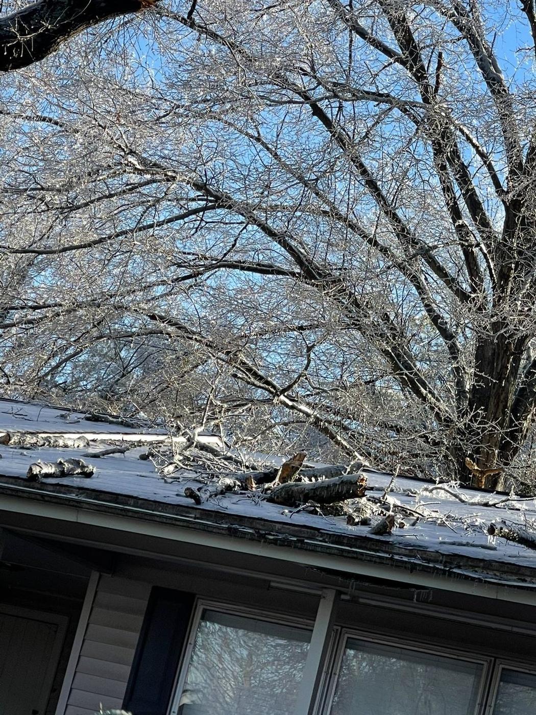 Limbs down across a gutter — Aaron&rsquo;s Tree Service, Mid-South