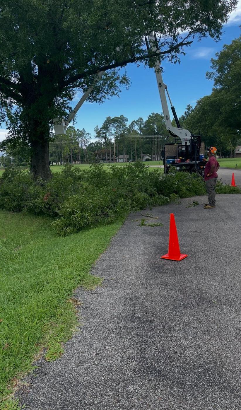 Access road clearing on a large property — Aaron&rsquo;s Tree Service, Mid-South