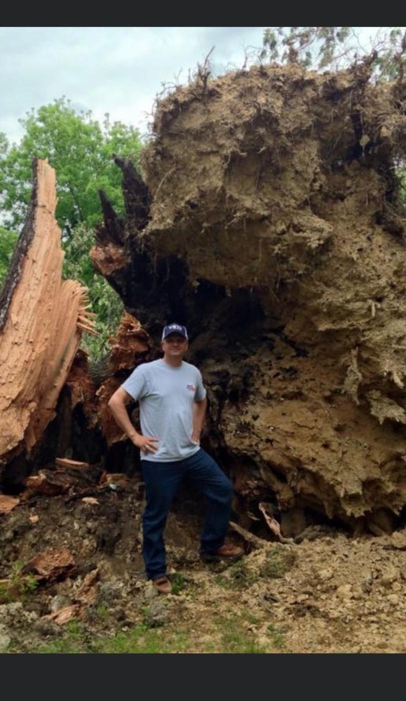Aaron Arnold, founder of Aaron's Tree Service, at the root plate of a failed tree