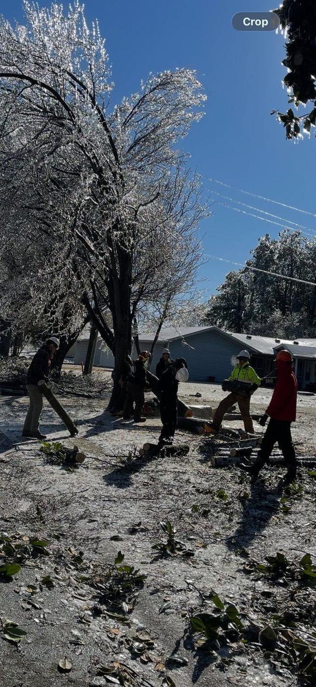Ice event &mdash; loaded limbs release violently — Aaron&rsquo;s Tree Service, Mid-South