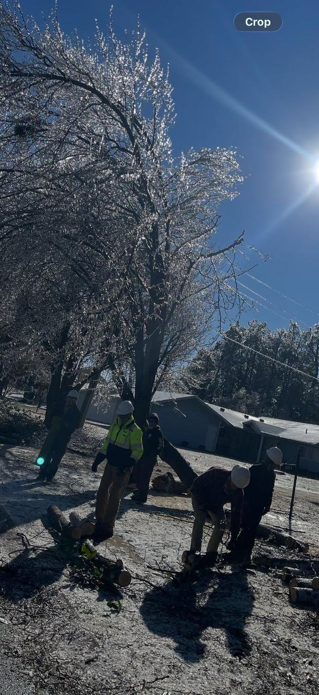 Working an ice-damaged canopy — Aaron&rsquo;s Tree Service, Mid-South