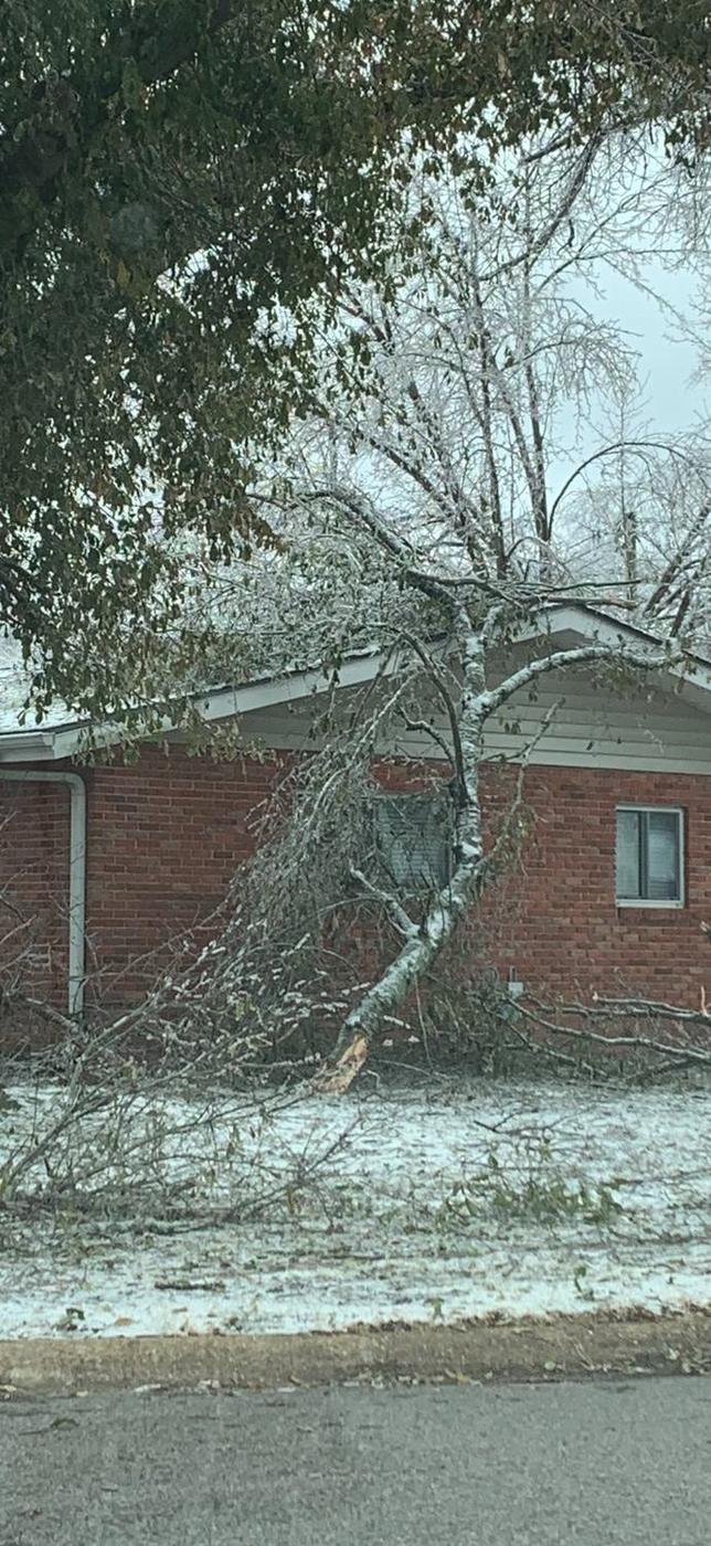 Limb down against a brick wall — Aaron&rsquo;s Tree Service, Mid-South