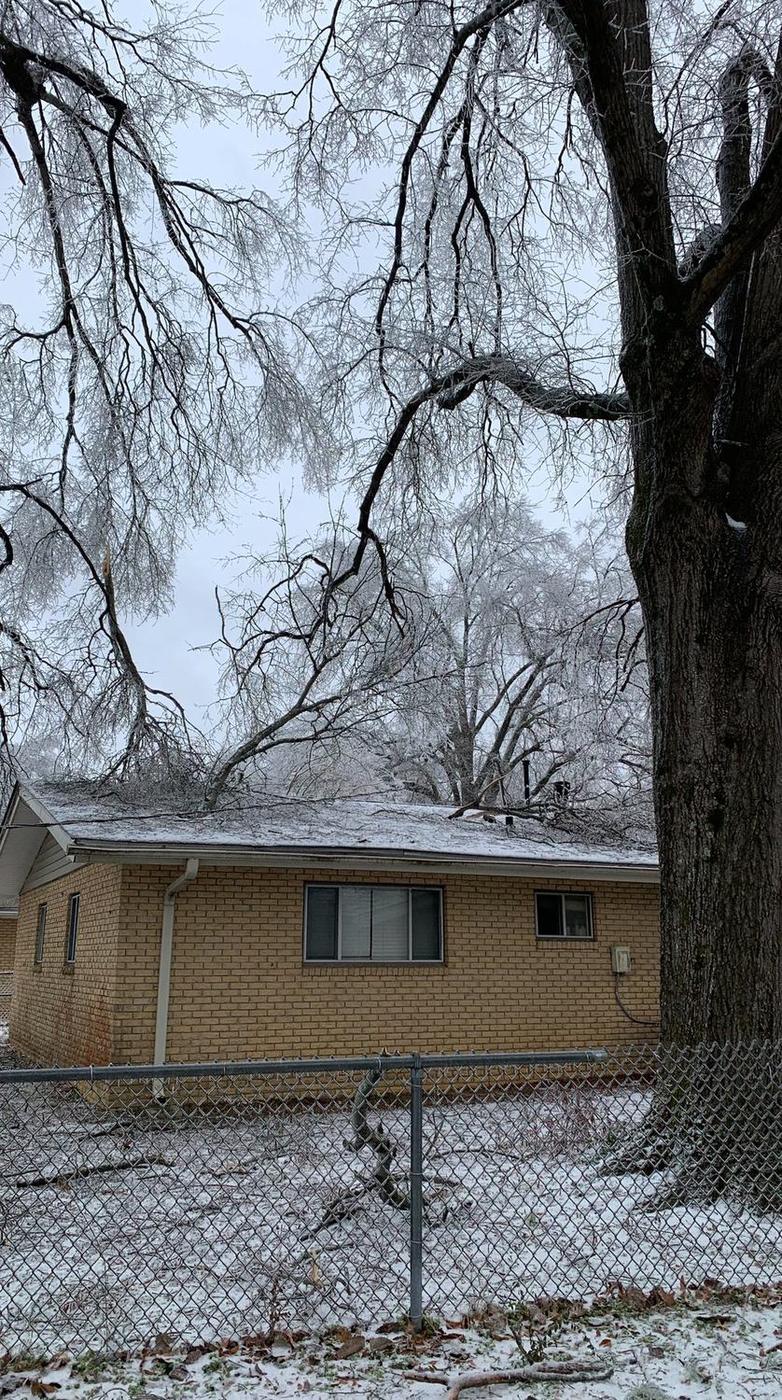 Ice-loaded branches over a house — Aaron&rsquo;s Tree Service, Mid-South