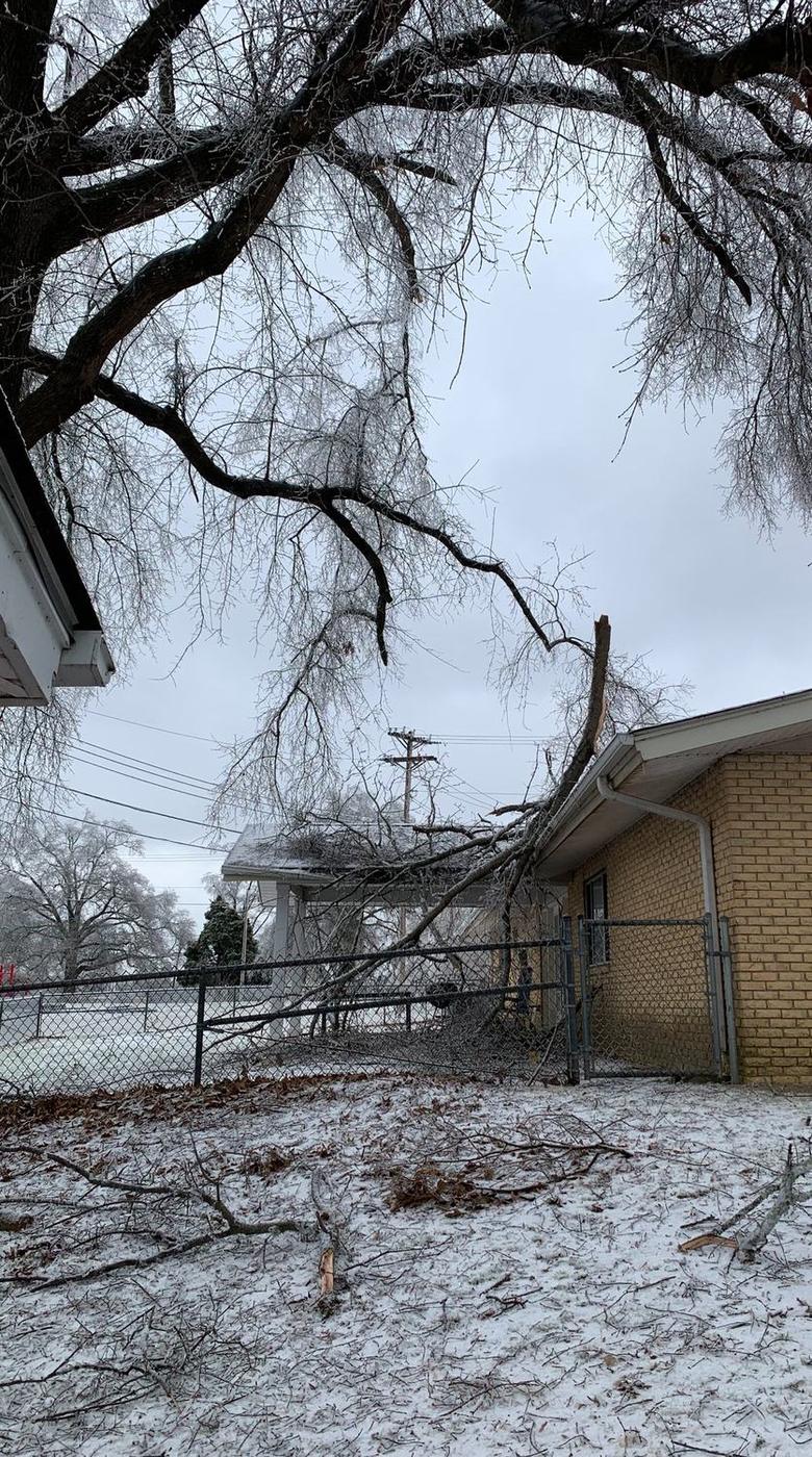 Neighborhood-wide ice damage — Aaron&rsquo;s Tree Service, Mid-South