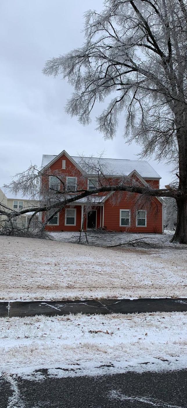 Tree across the front of a home — Aaron&rsquo;s Tree Service, Mid-South