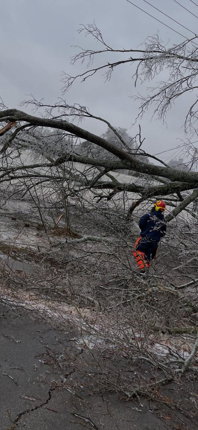 Climber in an ice-damaged canopy — Aaron&rsquo;s Tree Service, Mid-South