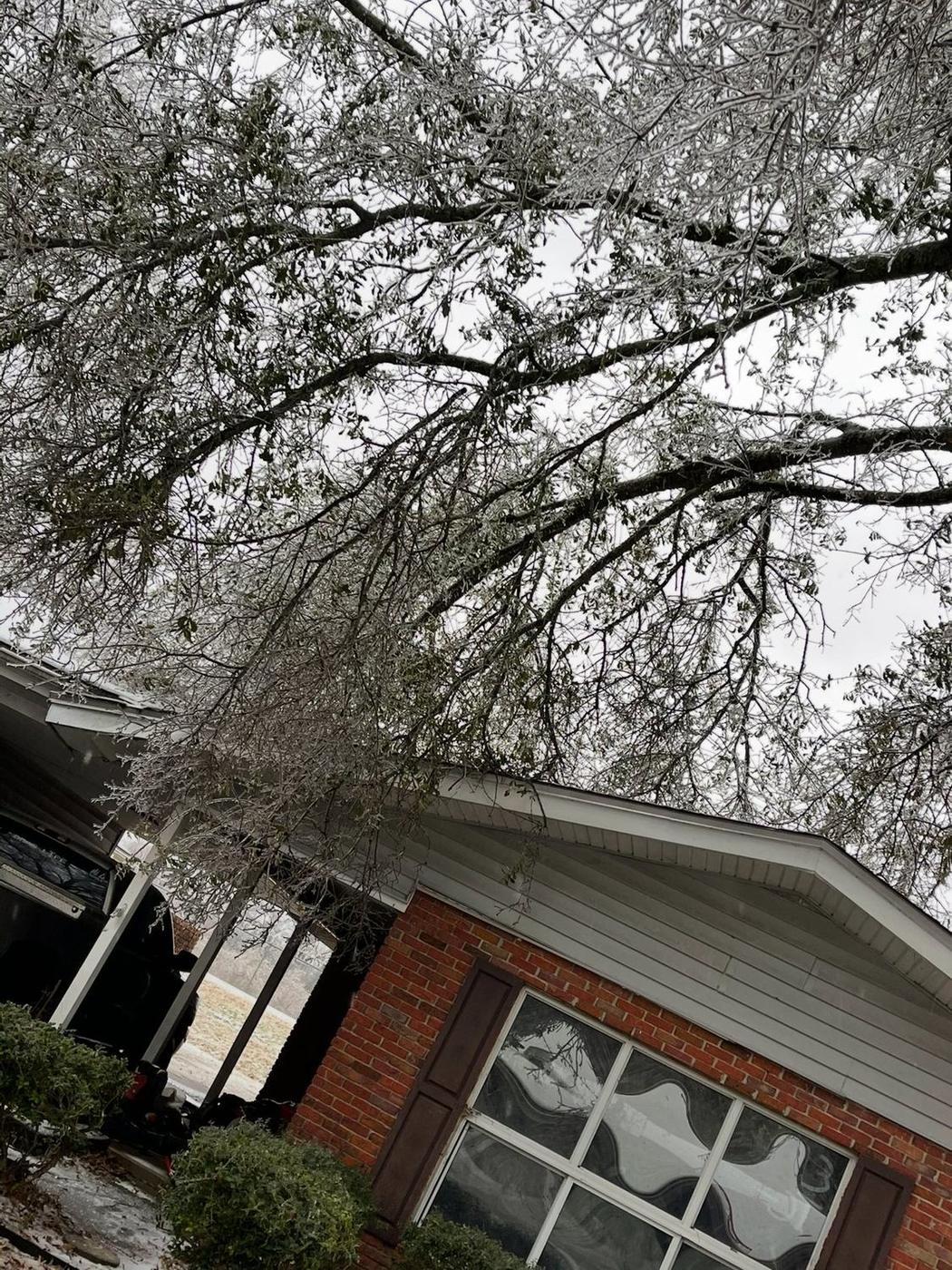Trunk through the roof — Aaron&rsquo;s Tree Service, Mid-South