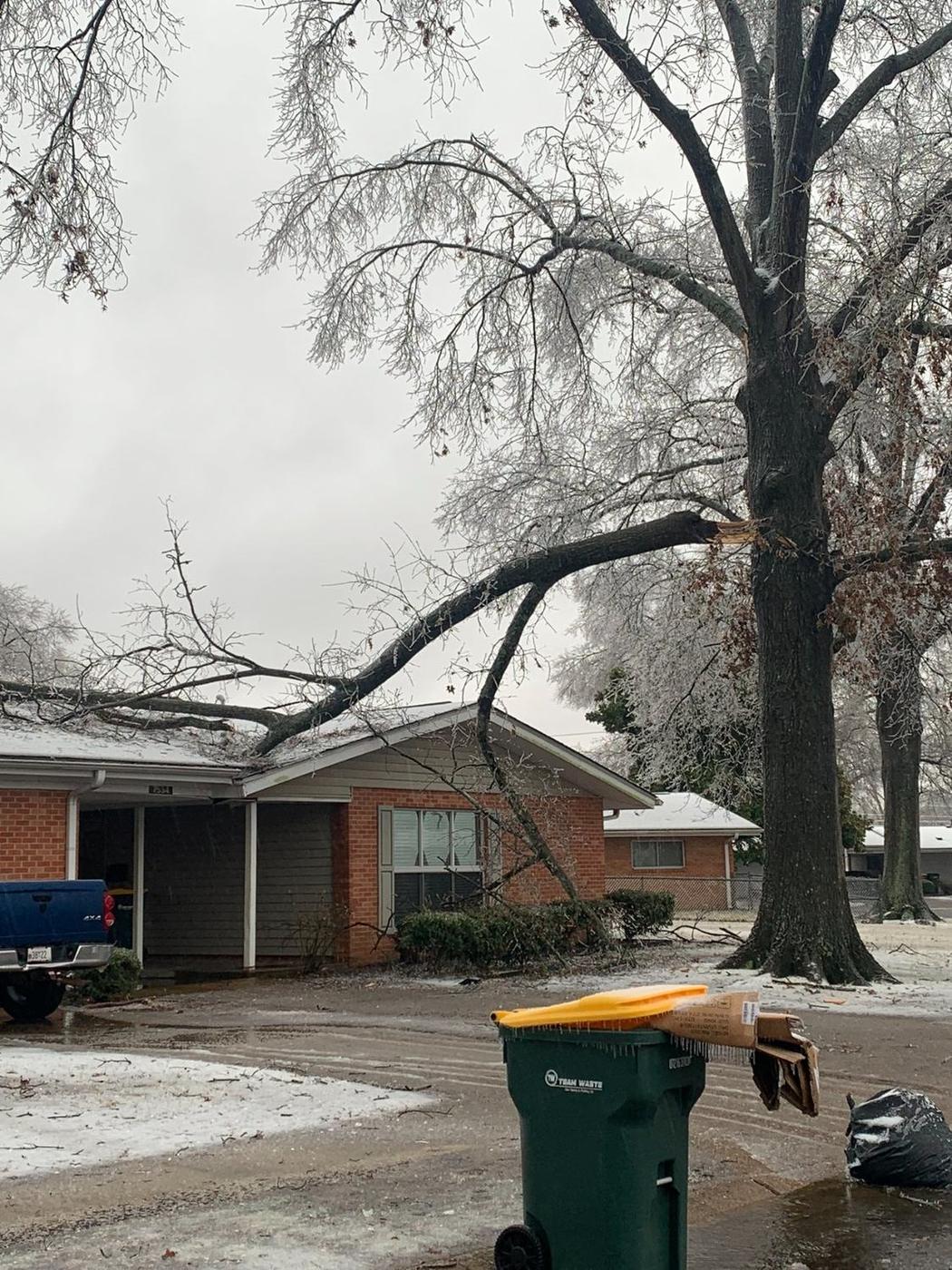 Storm-damaged tree over a driveway — Aaron&rsquo;s Tree Service, Mid-South