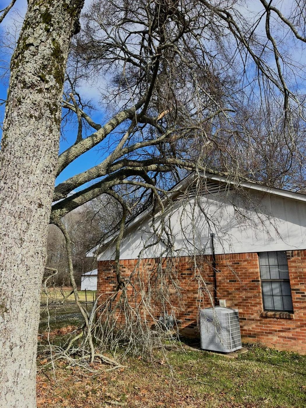Limb load across a roof — Aaron&rsquo;s Tree Service, Mid-South