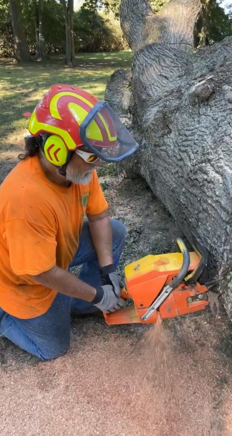 Full PPE &mdash; helmet, screen, hearing protection — Aaron&rsquo;s Tree Service, Mid-South