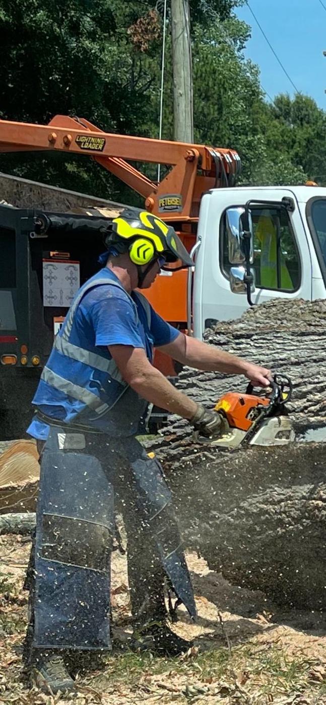 Bucking a trunk beside the chip truck — Aaron&rsquo;s Tree Service, Mid-South