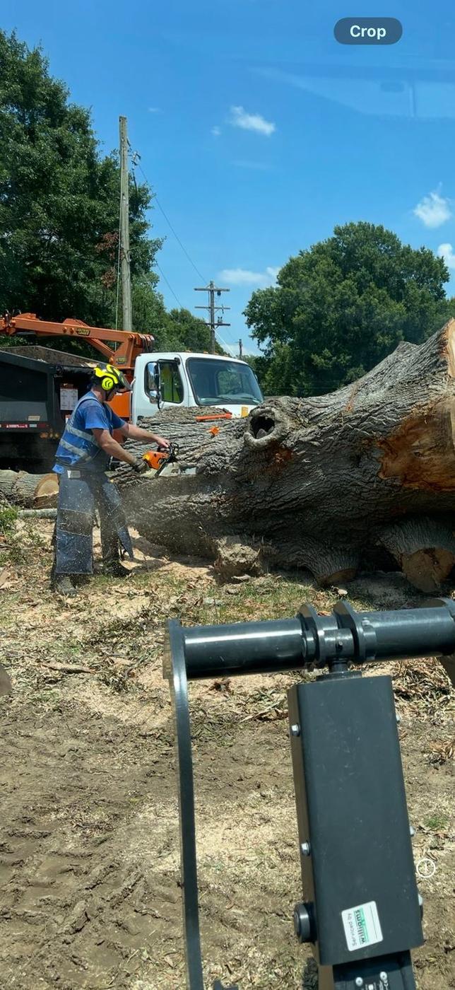 Sectioning a hardwood at the grapple — Aaron&rsquo;s Tree Service, Mid-South