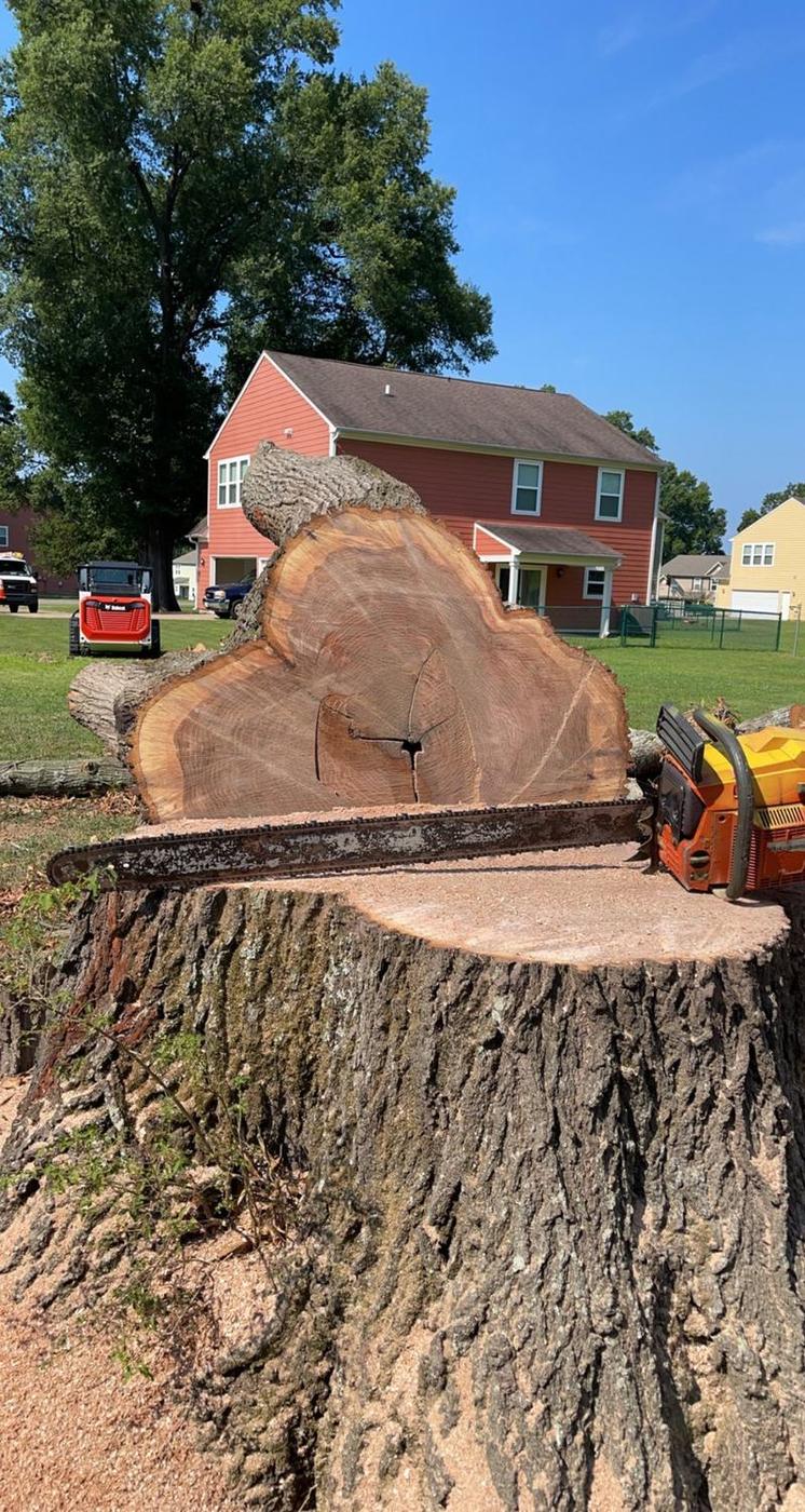 A stump face that tells you how big it was — Aaron&rsquo;s Tree Service, Mid-South