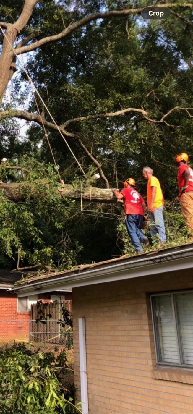 Clearance pruning along a roof — Aaron&rsquo;s Tree Service, Mid-South
