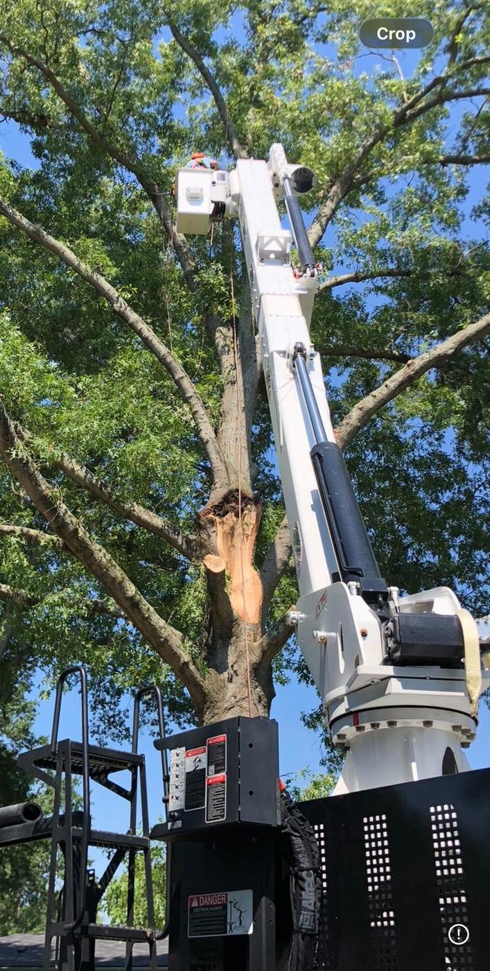 Boom over the tree, ready to pick — Aaron&rsquo;s Tree Service, Mid-South